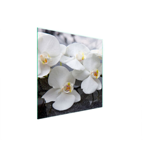 GLASSCHUTZPLATTE FÜR HERD 50x52 ORCHIDEE