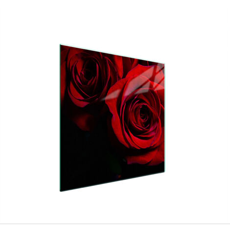 GLASSCHUTZPLATTE FÜR HERD 50x52 ROSE