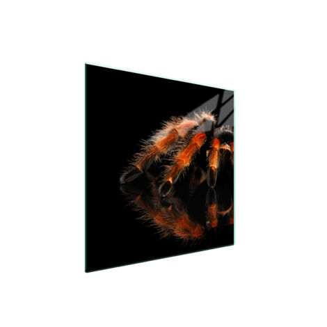 GLASSCHUTZPLATTE FÜR HERD 50x52 SPIDER