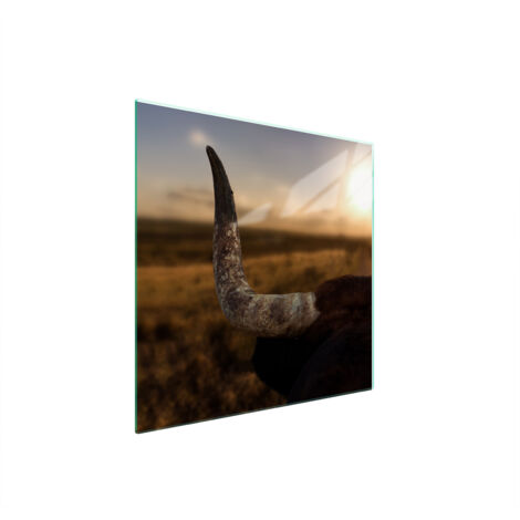 GLASSCHUTZPLATTE FÜR HERD 50x52 SUN