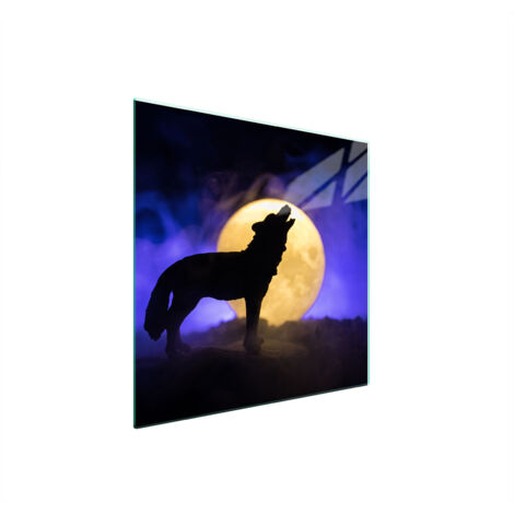GLASSCHUTZPLATTE FÜR HERD 50x52 WILK
