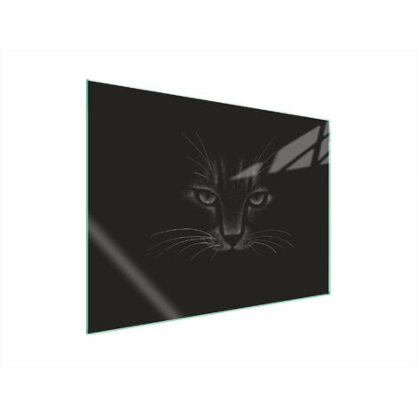 GLASSCHUTZPLATTE FÜR HERD 70x52 CAT