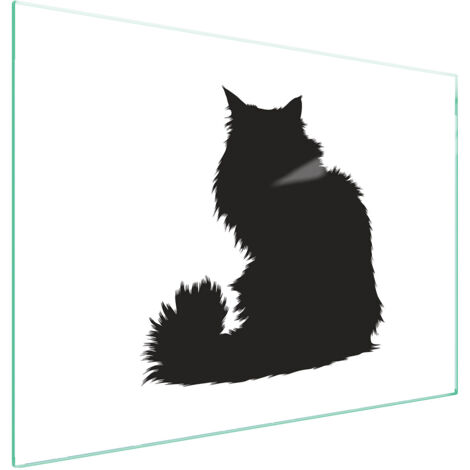 GLASSCHUTZPLATTE FÜR HERD 70x52 CAT