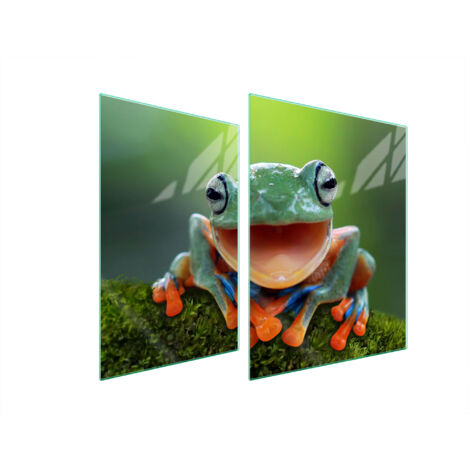 GLASSCHUTZPLATTE FÜR HERD 70x52 FROG