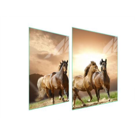 GLASSCHUTZPLATTE FÜR HERD 70x52 PFERDE