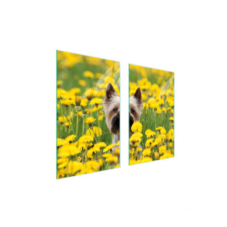 GLASSCHUTZPLATTE FÜR HERD 75x52 HUND