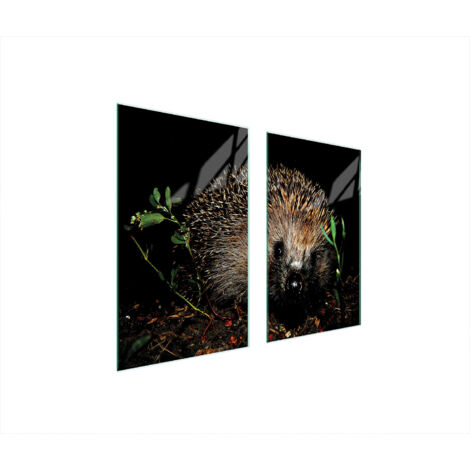 GLASSCHUTZPLATTE FÜR HERD 75x52 IGEL