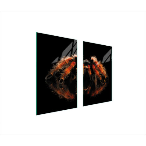 GLASSCHUTZPLATTE FÜR HERD 75x52 SPIDER