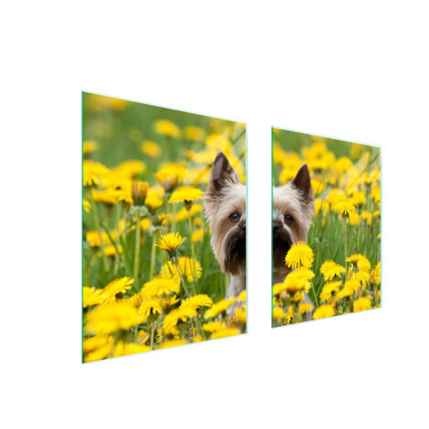 GLASSCHUTZPLATTE FÜR HERD 85x52 HUND