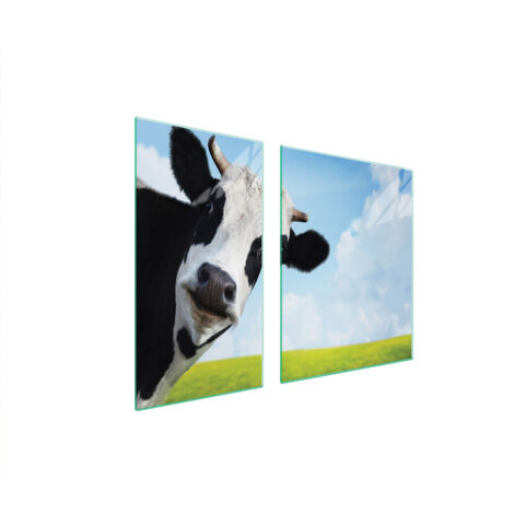 GLASSCHUTZPLATTE FÜR HERD 90x52 COW