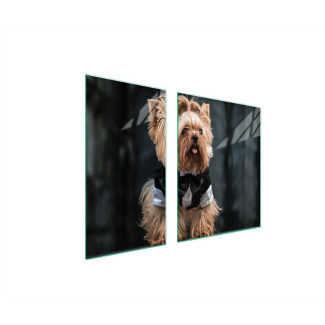 GLASSCHUTZPLATTE FÜR HERD 90x52 HUND
