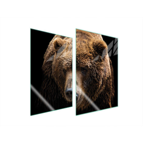 GLASSCHUTZPLATTE FÜR KÜCHE 2x35x52 BEAR