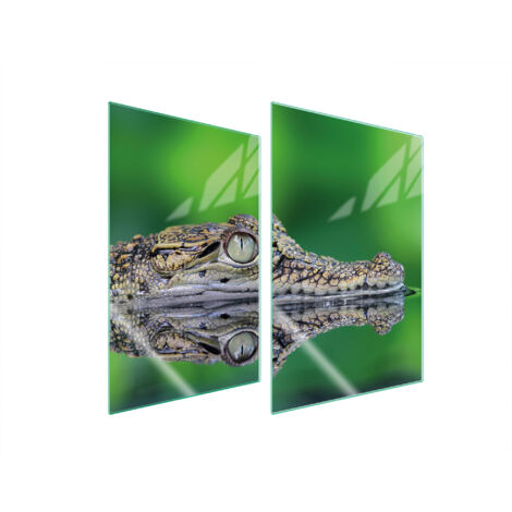 GLASSCHUTZPLATTE FÜR KÜCHE 2x35x52 CROCODILE