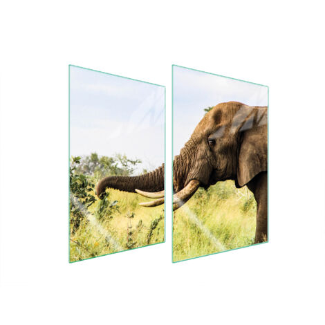 GLASSCHUTZPLATTE FÜR KÜCHE 2x35x52 ELEPHANT