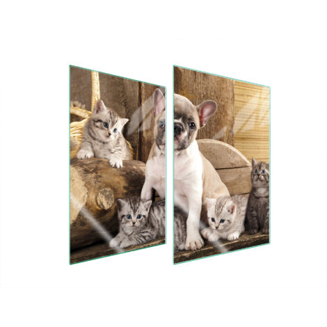 GLASSCHUTZPLATTE FÜR KÜCHE 2x35x52 HUND