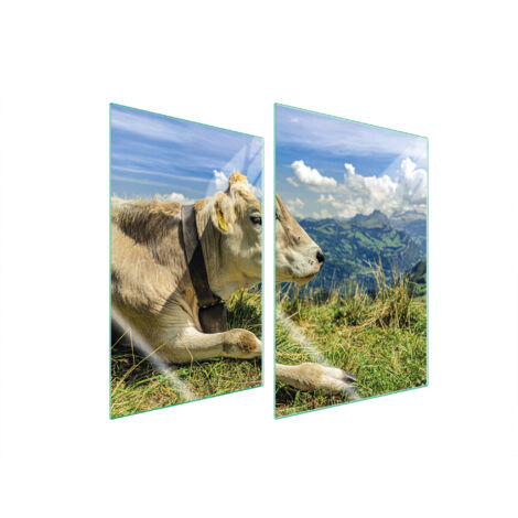 GLASSCHUTZPLATTE FÜR KÜCHE 2x35x52 KUH