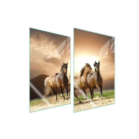 GLASSCHUTZPLATTE FÜR KÜCHE 2x35x52 PFERDE