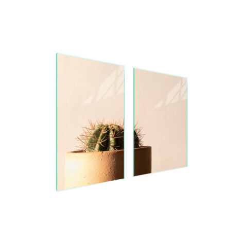 GLASSCHUTZPLATTE FÜR KÜCHE 65x52 CACTUS