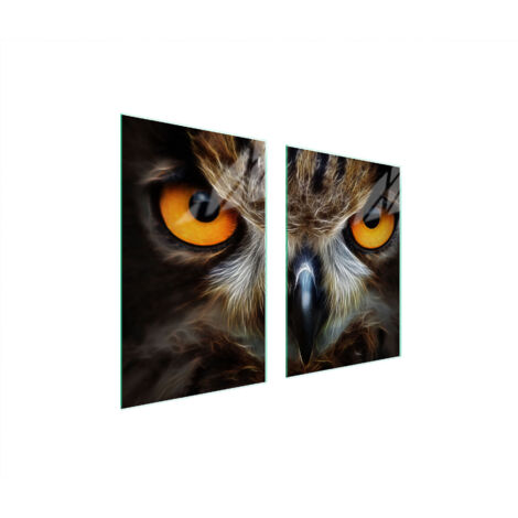 GLASSCHUTZPLATTE FÜR KÜCHE 65x52 EULE