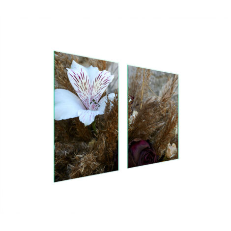 GLASSCHUTZPLATTE FÜR KÜCHE 65x52 ORCHIDEE