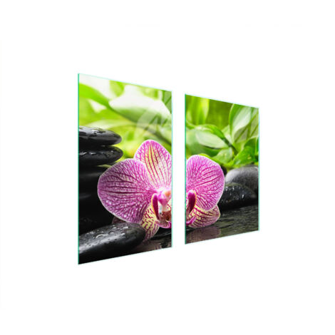 GLASSCHUTZPLATTE FÜR KÜCHE 65x52 ORCHIDEE