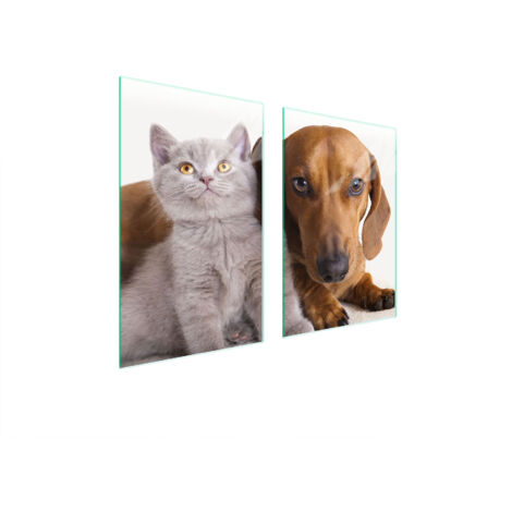 GLASSCHUTZPLATTE FÜR KÜCHE 65x52 TIERE