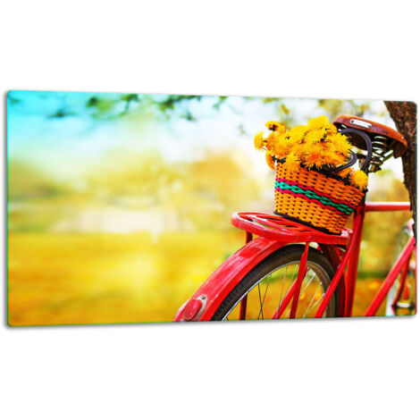 GlassplattenschneideBrett 52x30 Fahrrad