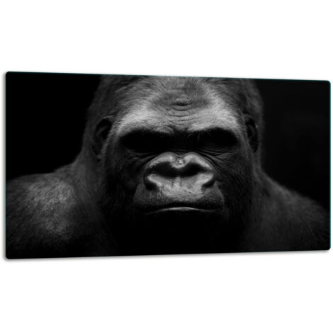 GlassplattenschneideBrett 52x30 Gorilla
