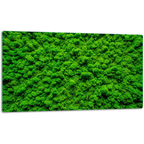 GlassplattenschneideBrett 52x30 Grün