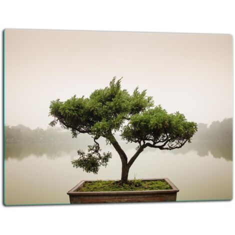 GlassplattenschneideBrett 52x40 Baum