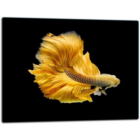 GlassplattenschneideBrett 52x40 Fische