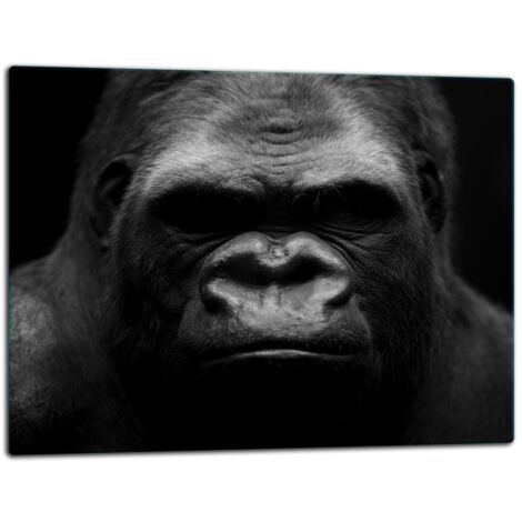 GlassplattenschneideBrett 52x40 Gorilla