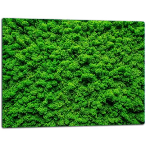 GlassplattenschneideBrett 52x40 Grün