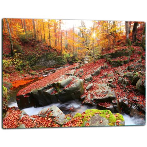 GlassplattenschneideBrett 52x40 Landschacht