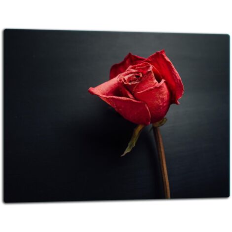 GlassplattenschneideBrett 52x40 Rose