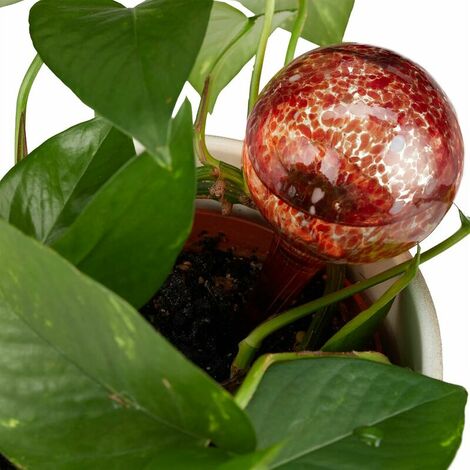 Globes d’arrosage Lot de 2, Distributeur Eau Plantes et Fleurs, Outil de Bureau, Ø 6 cm, Verre, Rouge