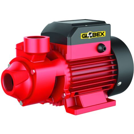 Globex ELETTROPOMPA DI SUPERFICIE GX 370 PP 370 W Hp 0,5