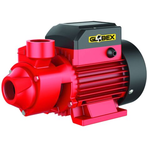 Globex ELETTROPOMPA DI SUPERFICIE GX 370 PP 370 W Hp 0,5