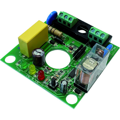 Globex SCHEDA ELETTRONICA PER REGOLATORE DI PRESSIONE cod. 49384/49835