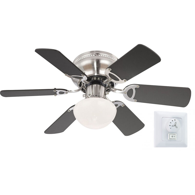 Globo - Ceiling fan Ugo Beech / Graphite with light