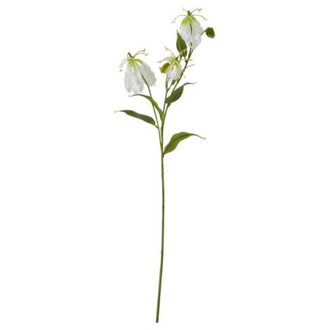 Gloriosa Spray (Single Stem Flower) - Plastic - Height 84 cm - Cream