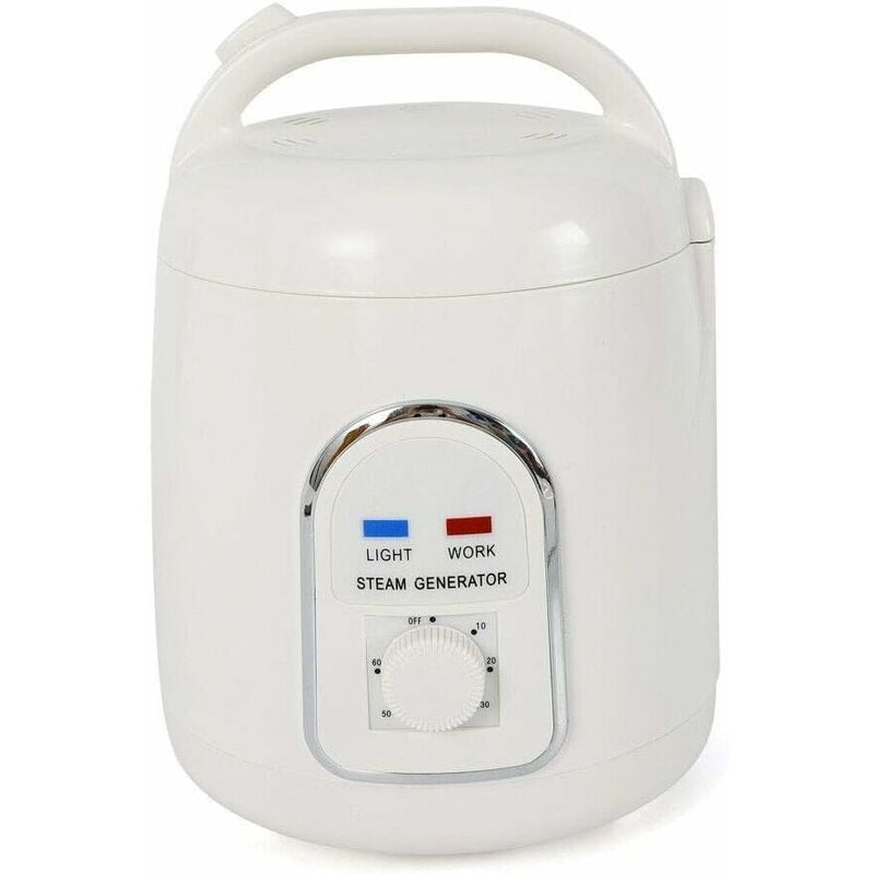 Générateur de vapeur portable 1,5 l 900 w