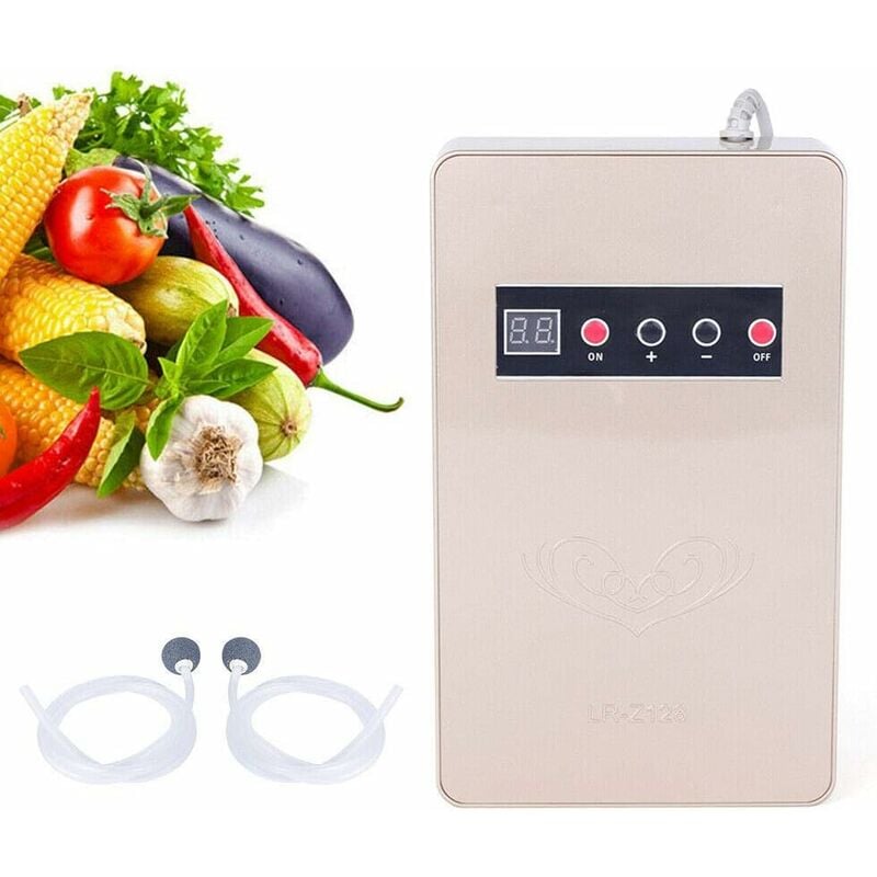 Générateur d'ozone 600 mg/h purificateur d'air eau alimentaire stérilisateur