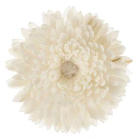 Goa - Fleur de goatier petit modèle CHRISTEN