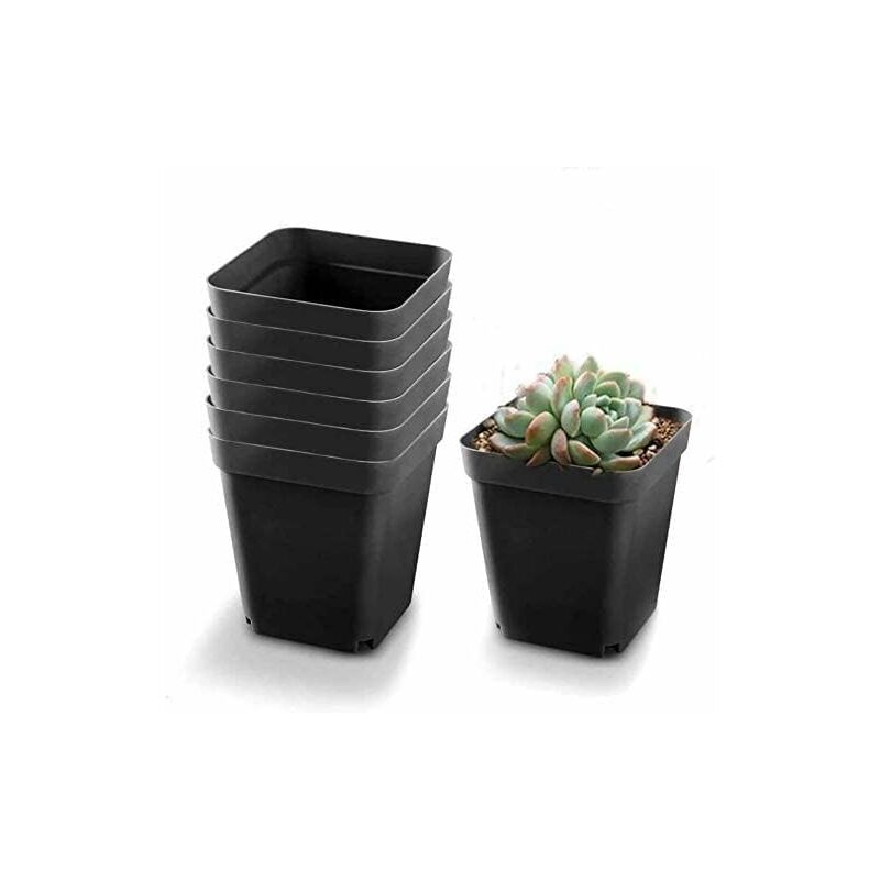 Ahlsen - Godet pour Semis Noir 50Pcs - Carré Pots de Plantes en Plastique-Petit Pot de Fleur Interieur Exterieur (Noir/ 6x6x5.5cm) - black