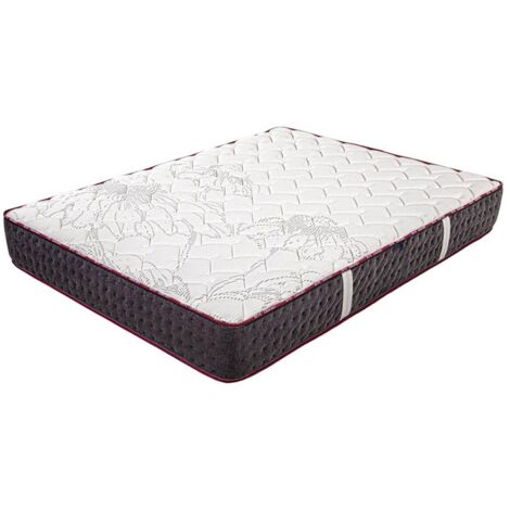 GOLBERT - Matelas 160x200 cm Mousse haute résilience Haute adaptabilité Ep.24cm