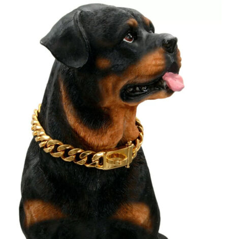 Goldenes Hundehalsband mit Sicherheitsverschluss, bissfest (gold, 45,7 cm)