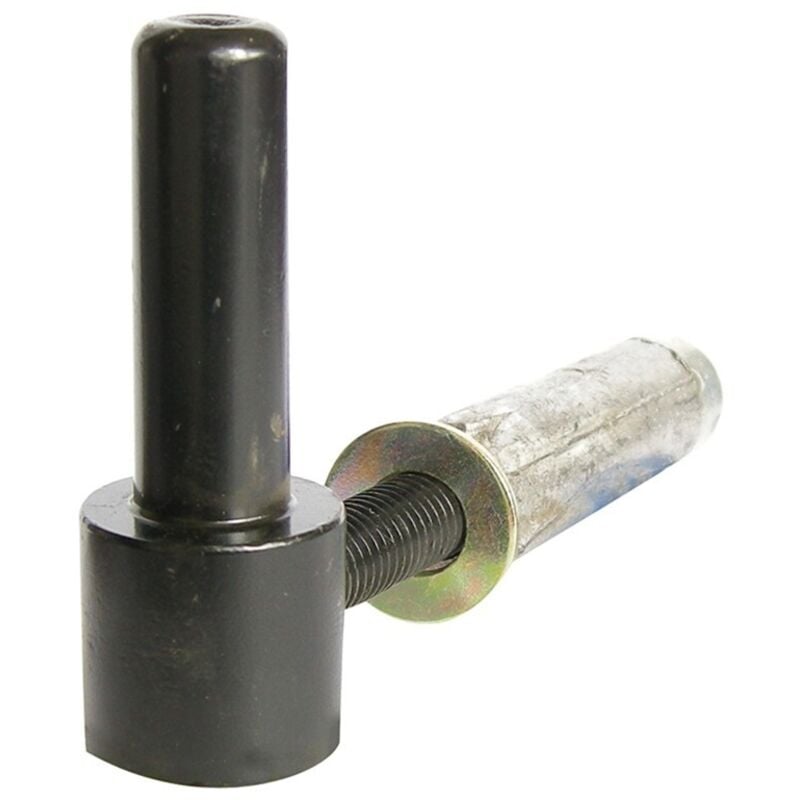 Gond à visser + cheville Finition: Noir - Diamètre x Longueur (mm): Diamètre x Longueur (mm) : 16x105 - Afbat