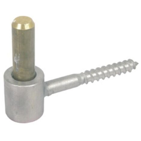 Gond à vis bois diamètre 10 x L 75 mm en inox 316 passivé axe laiton diamètre 14 - TORBEL INDUSTRIE