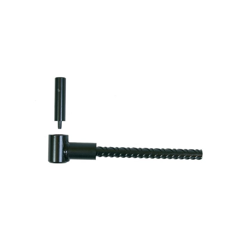 Gond pour scellement chimique A8563 pour double volet parpaing noir - Diamètre de l'axe : 16 mm - Longueur de la tige : 165 mm - Finition : noir